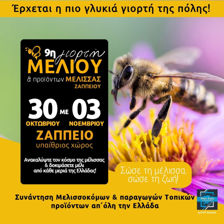 HONEY & BEE PRODUCTS FESTIVAL - Gastronomy Tours instagram-1-1080x1080